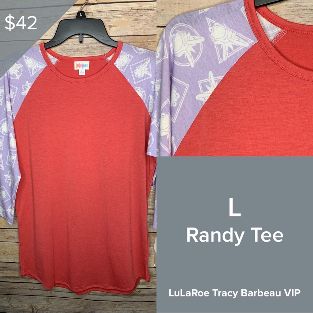NWT LuLaRoe Disney Randy Size Large